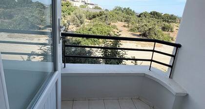 well-located, spacious 1+1 apartment close to the sea