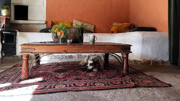Et hyggeligt rum med en pejs, en sofa med puder, et bord med en vase blomster og en hund, der hviler på et tæppe.