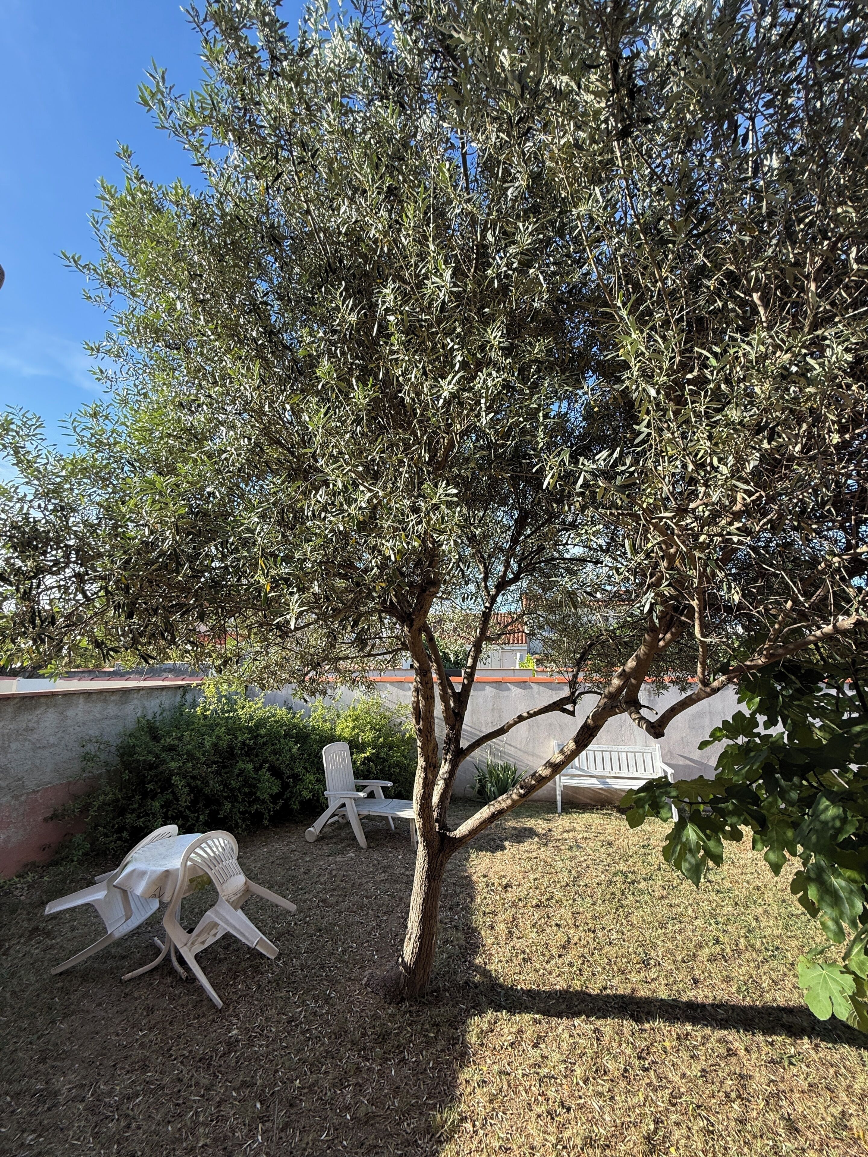 Terras
