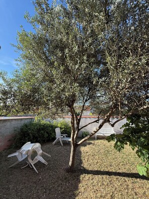 Terassi/patio