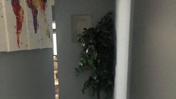 En smal hall med en mönstrad matta, en krukväxt och ett vitt, sfäriskt föremål.