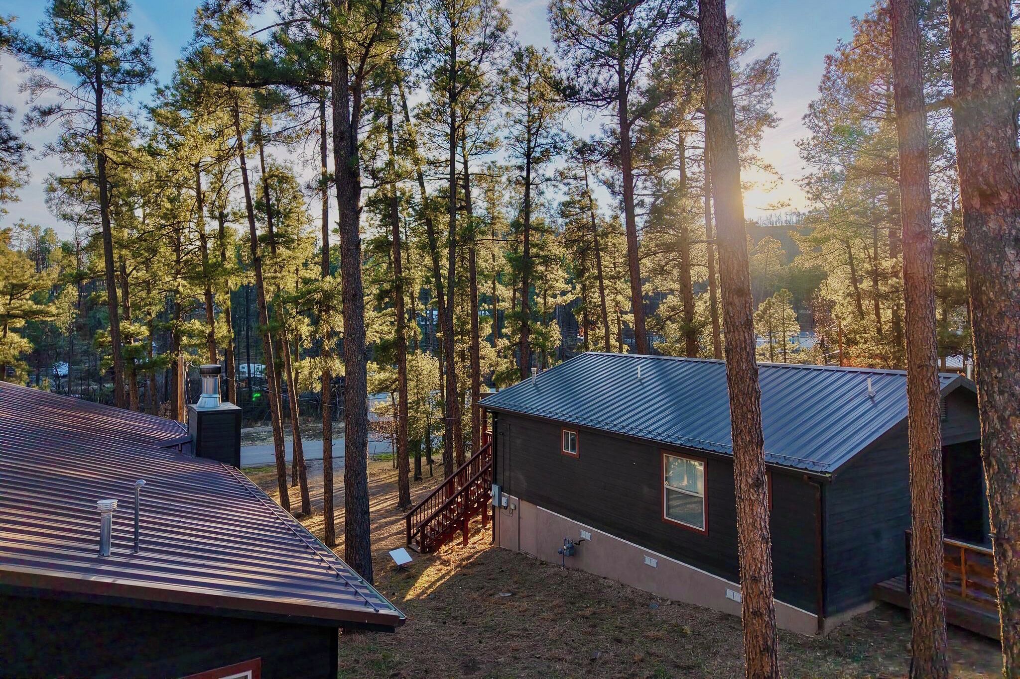 Une cabane entourée de grands pins, avec un toit en métal et un petit porche.
