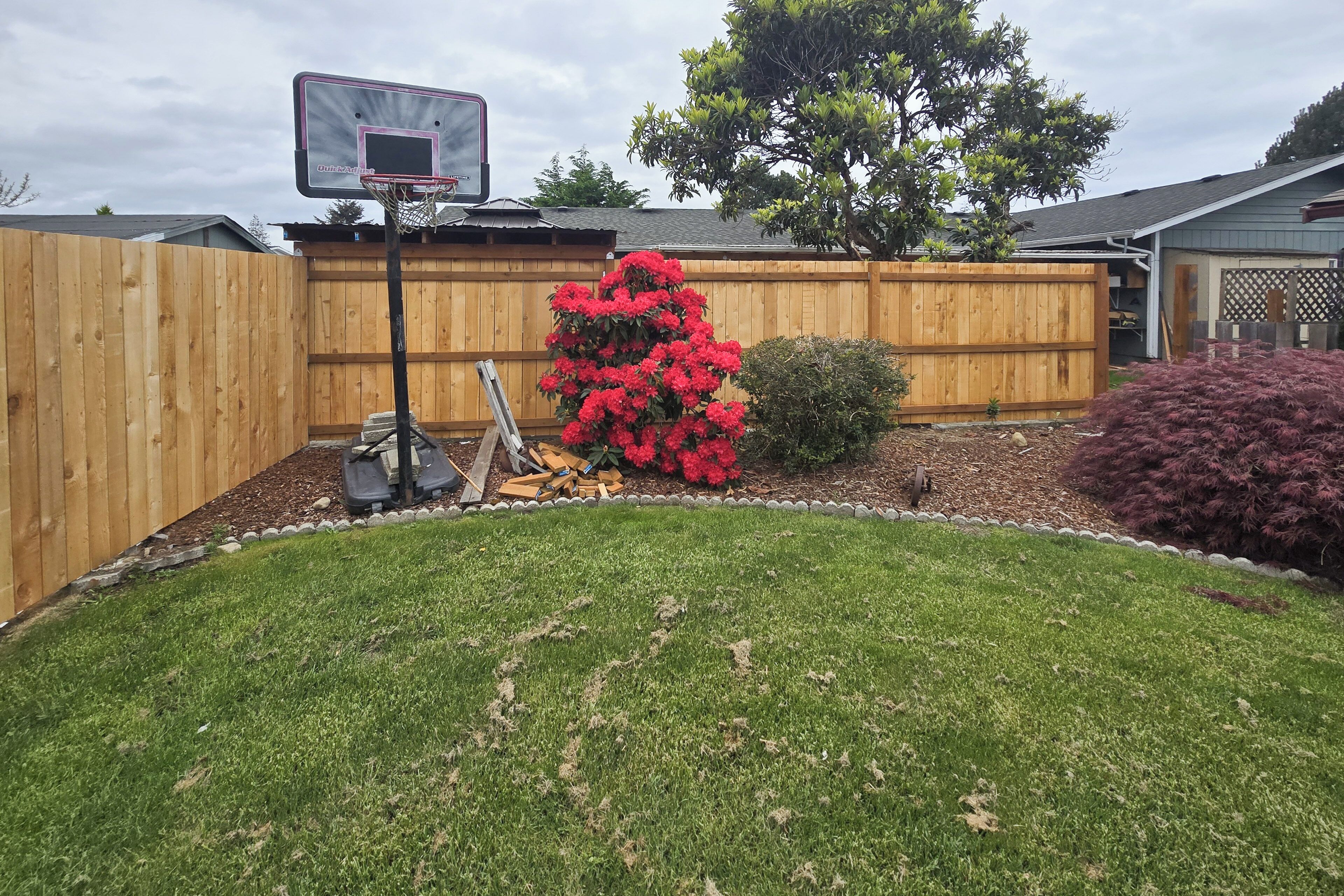 A backyard with a basketball hoop, a wooden fence, and a variety of plants.