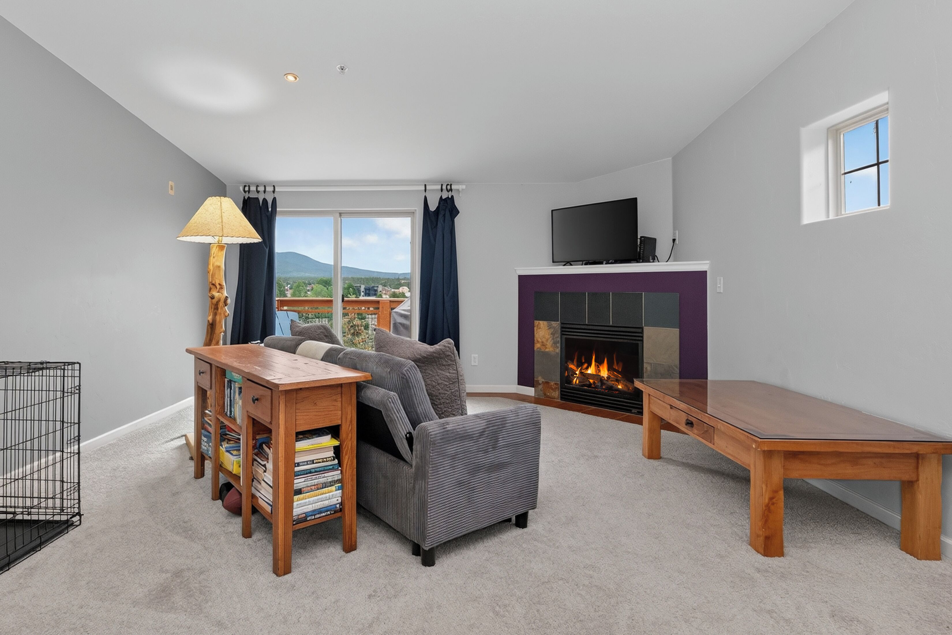 TV, fireplace, computer monitors