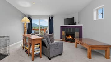 TV, fireplace, computer monitors