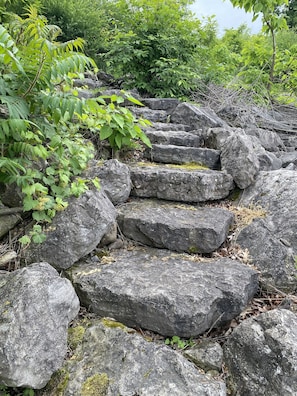 A natural stone staircase surrounded by greenery.