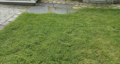 Escape to a quaint and peaceful slice of Heaven on Earth!
In Youngstown, NY