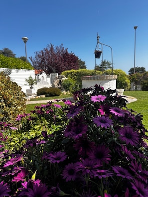 Property grounds - Casa dei Tigli (Marche)