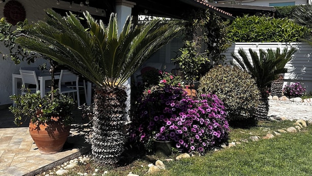 家庭三人房, 露台 | 露台