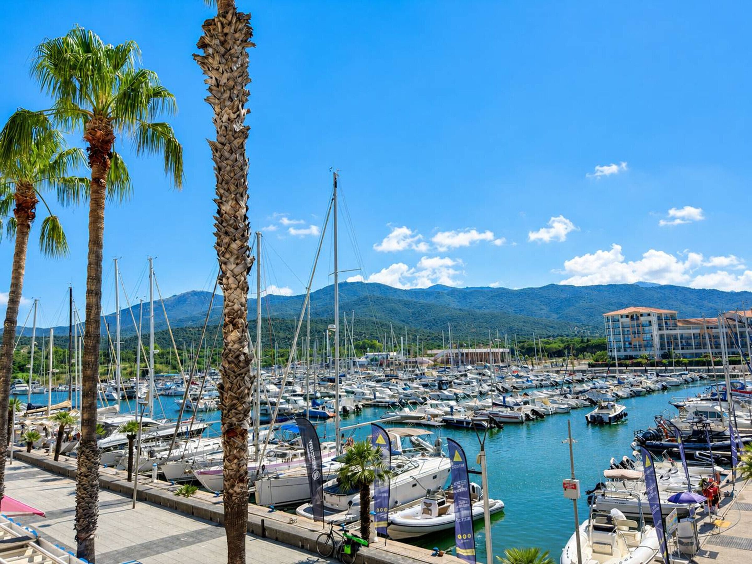 A marina with numerous boats docked, palm trees, and a mountain range in the background.