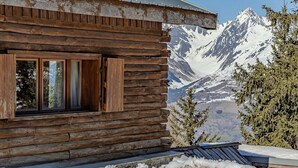 Een houten chalet met een metalen dak, grote ramen en uitzicht op besneeuwde bergen.