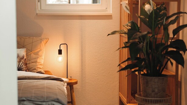 A bedroom with a bed, bedside lamp, wooden nightstand, potted plant, and a window.