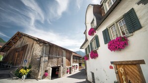 A narrow street with traditional buildings, wooden doors, and flower boxes.