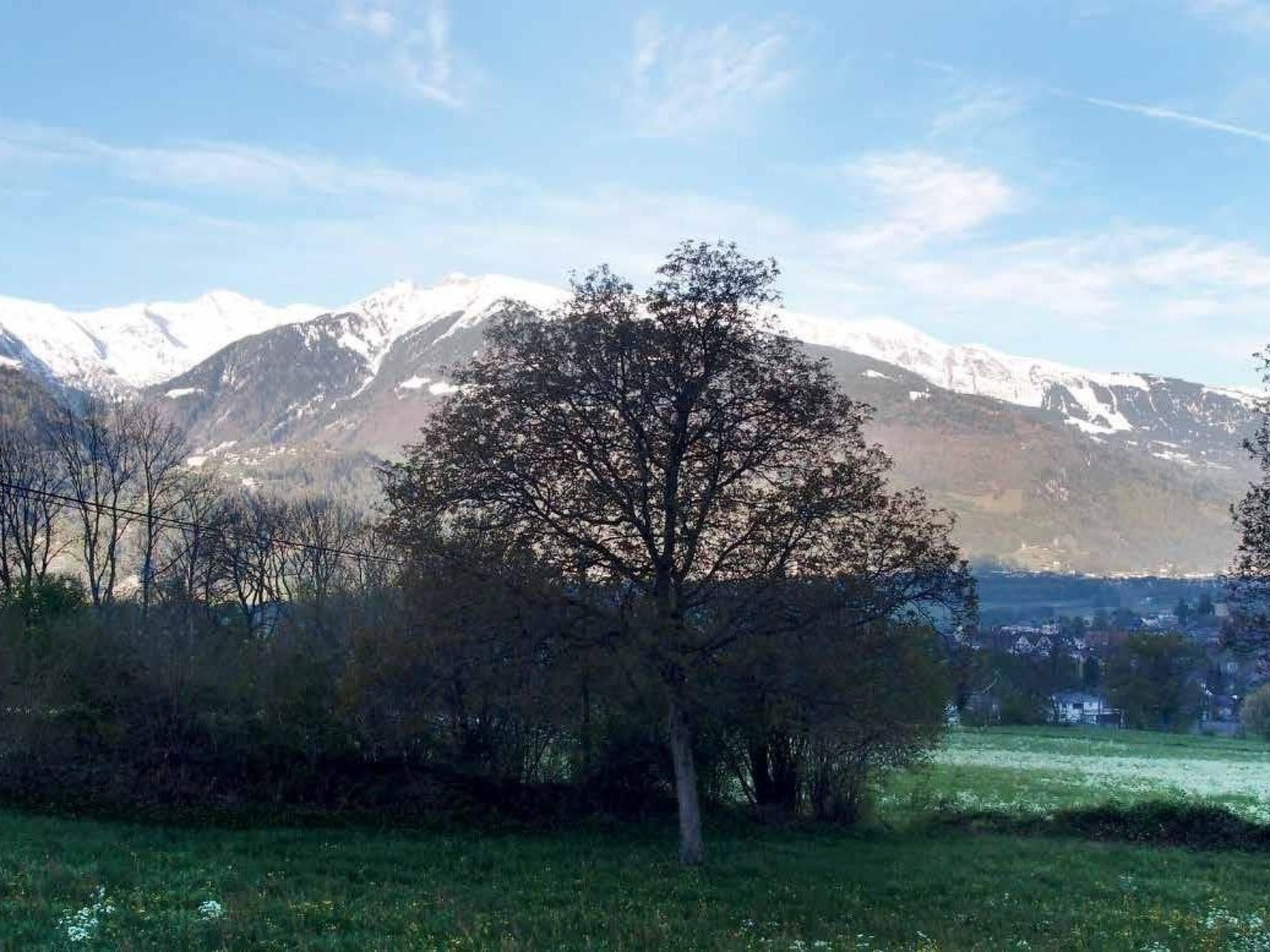 A mountainous landscape with a prominent tree in the foreground and snow-capped peaks in the background.