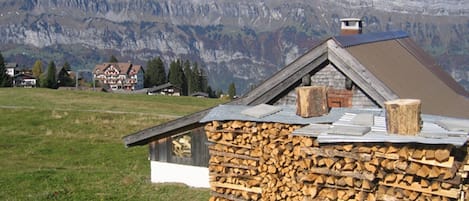 Une cabane rustique avec un toit en pente, une pile de bois de chauffage et une vue sur les montagnes en arrière-plan.