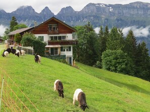 Ein Hang mit einem Holzhaus und einem eingezäunten Bereich, in dem Ziegen grasen.