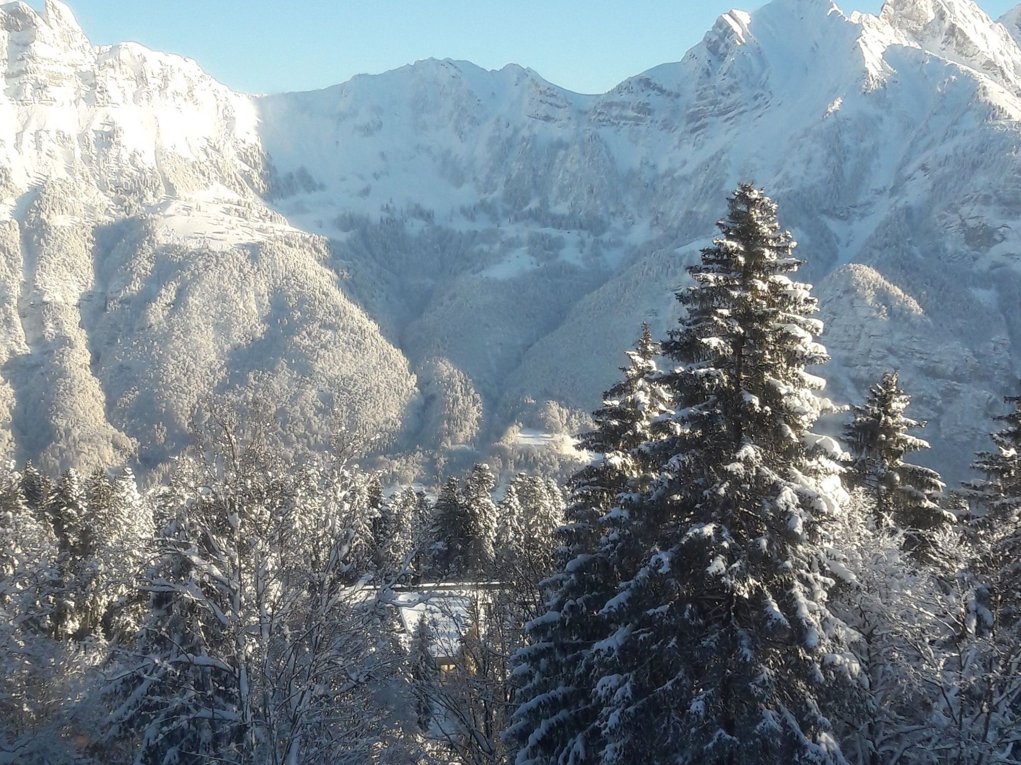 Un paysage montagneux, avec des arbres couverts de neige et un ciel dégagé.