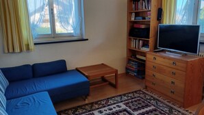 Ett vardagsrum med en blå soffa, ett TV-bord i trä, en bokhylla och en mönstrad matta.