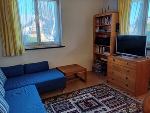 Ein Wohnzimmer mit einem blauen Sofa, einem Holz-TV-Schrank, einem Bücherregal und einem gemusterten Teppich.