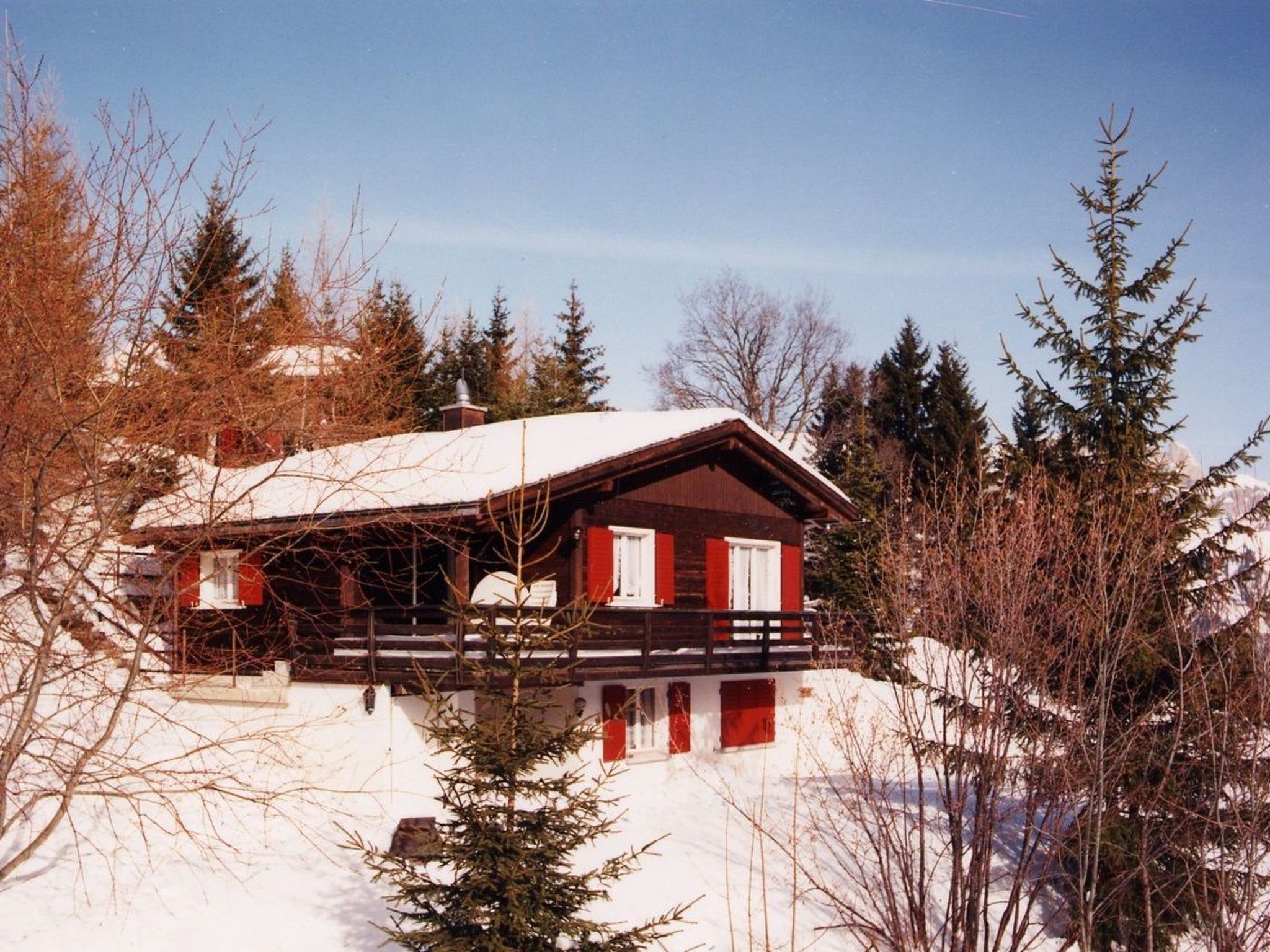 Un chalet de dos pisos con techo nevado, rodeado de árboles de coníferas.