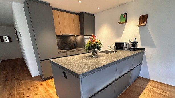 A modern kitchen with grey cabinetry, a central island, a built-in oven, and a small potted plant.