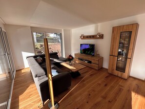 Fernseher, DVD-Player