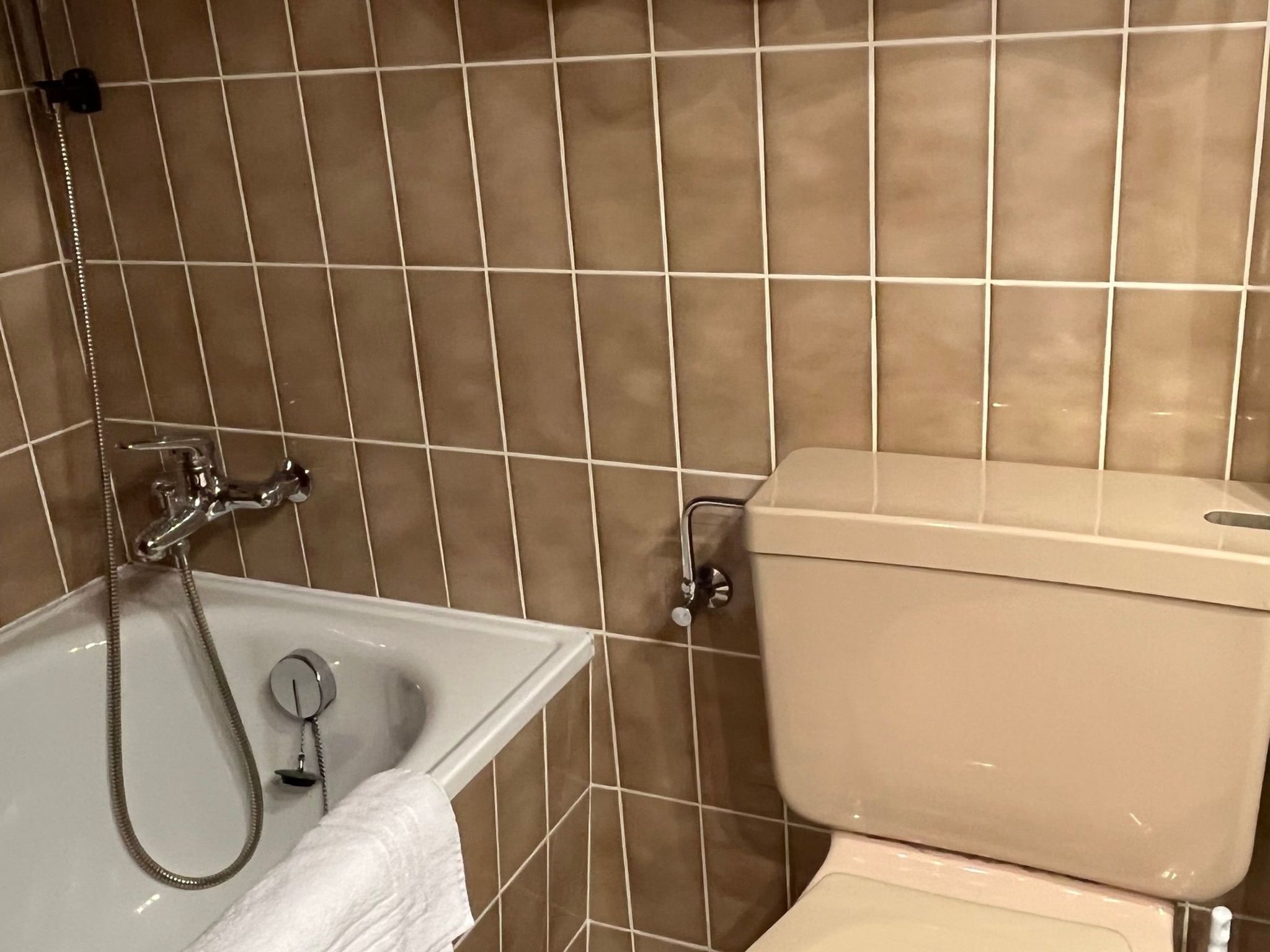 Un bagno con vasca, WC e doccia.