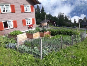 Zona residencial amb una casa que destaca per les persianes vermelles, un jardí de verdures i un paisatge de muntanyes al fons.