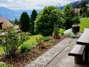 A garden with a wooden bench, various plants, and a view of mountains in the background.
