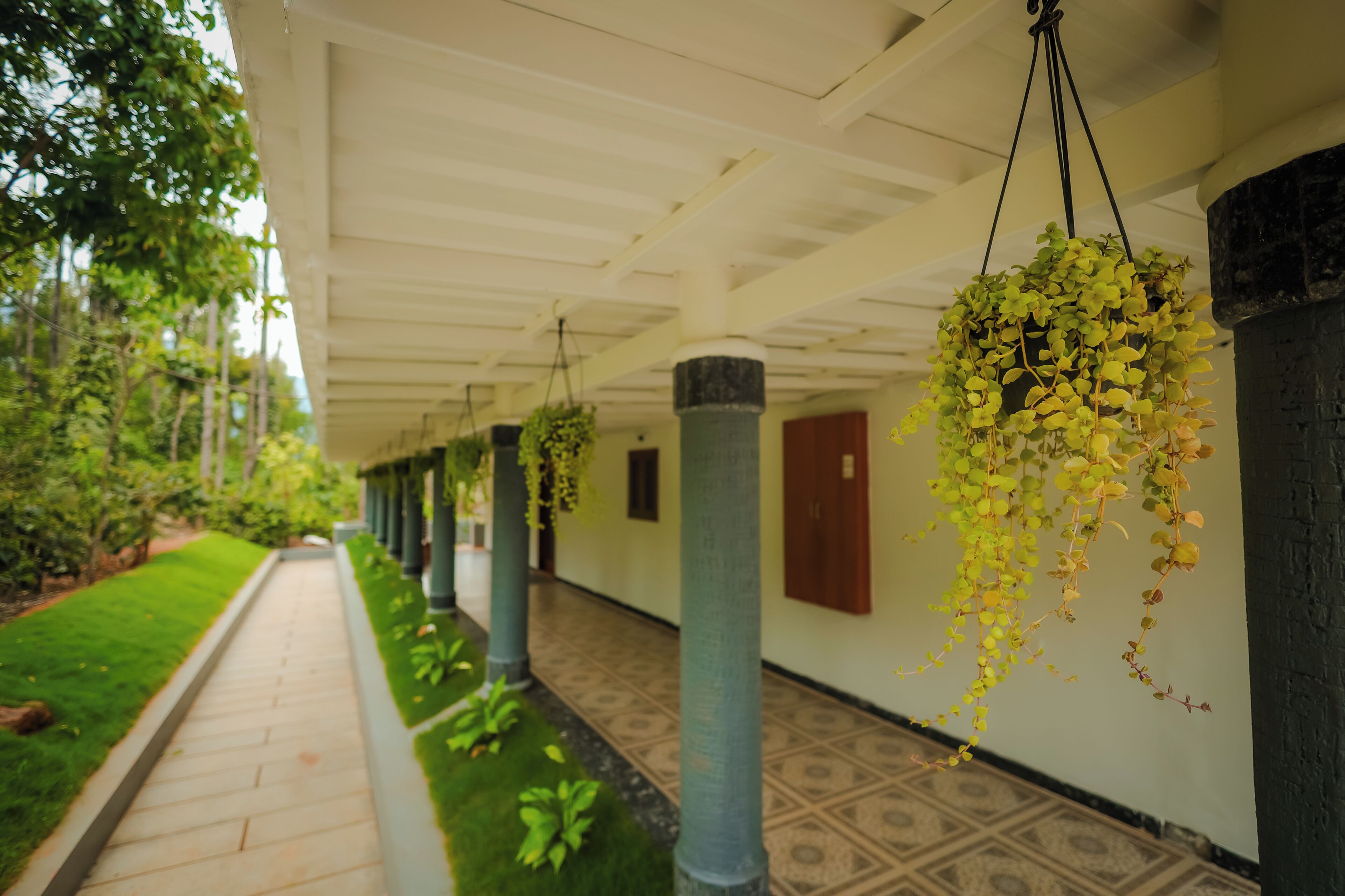 A covered corridor with hanging plants, a patterned floor, and a green lawn.
