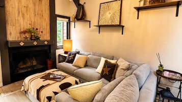 Smart TV, fireplace, books