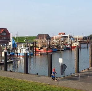 A harbor with boats docked, a pedestrian path, and buildings in the background.