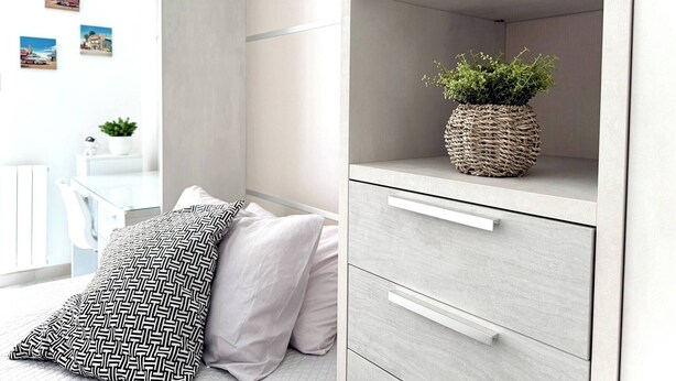 A modern bedroom with a bed, a bedside table with a plant, and a wardrobe with drawers.