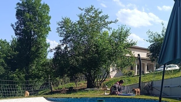Una piscina amb aigua transparent i blava, envoltada per una zona verda i arbres.