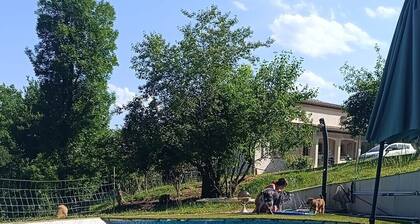 At Les Soays: a 40 m² air-conditioned studio with access to the pool, forest, and sheep
