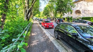 Puiden reunustama katu, jossa on parkkeerattuja autoja, ja kupolikattoinen rakennus.