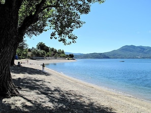 Ein Strand mit einem großen Baum, der Schatten spendet, einer ruhigen Bucht und Bergen im Hintergrund.