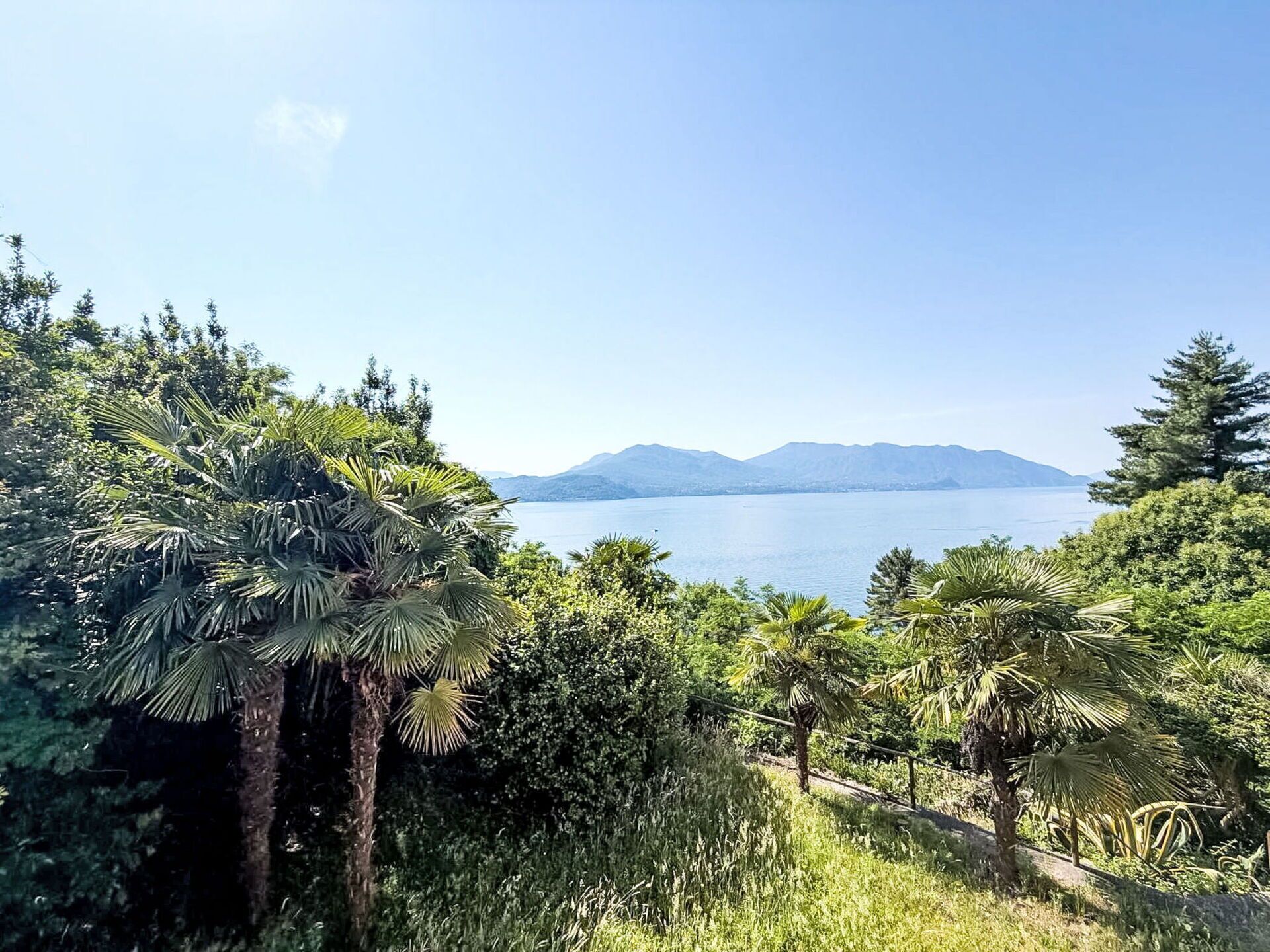 Eine natürliche Landschaft mit Gewässer, Bergen und dichtem Grün.