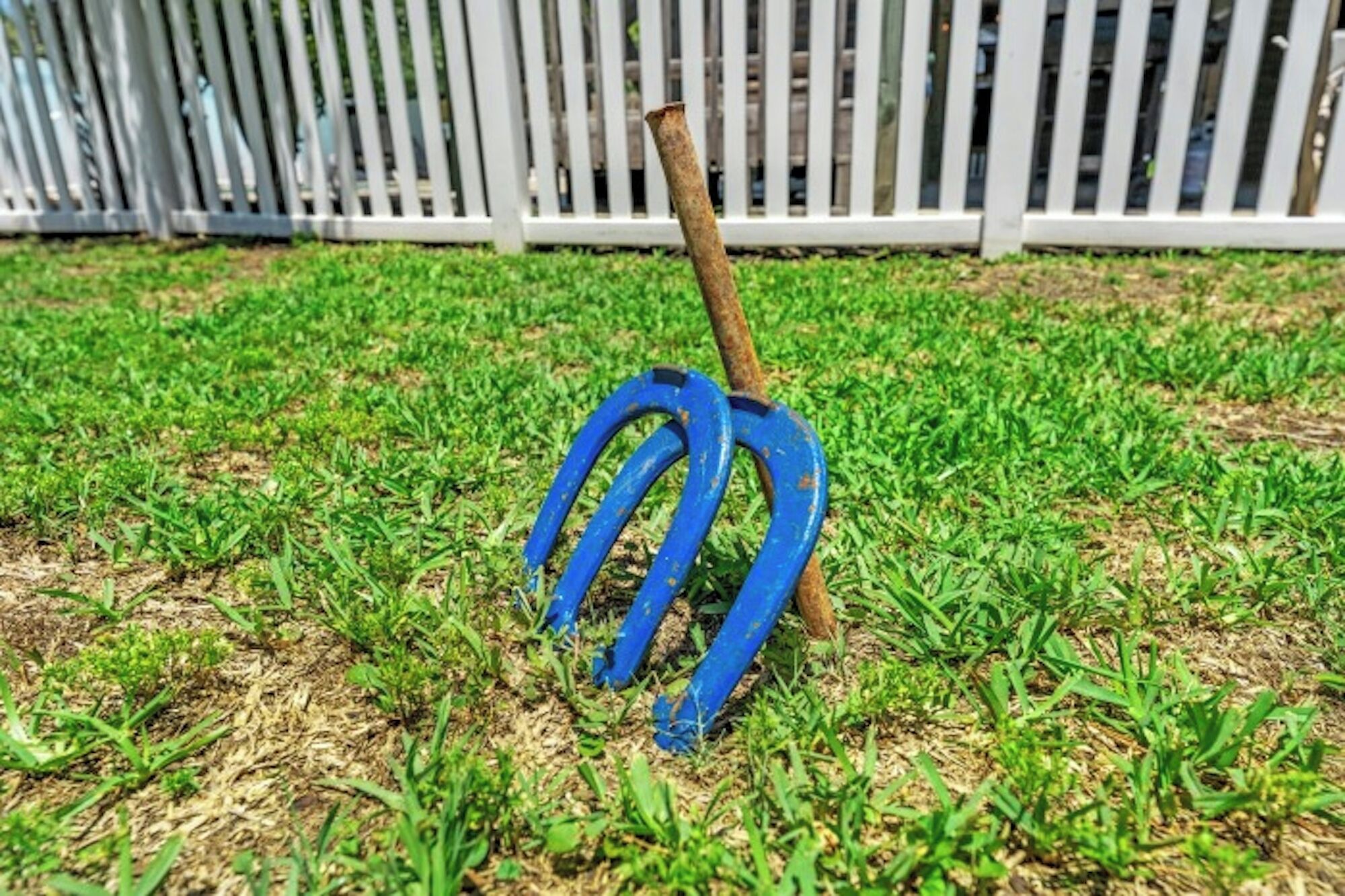 A blue garden fork with a wooden handle on a grassy lawn.