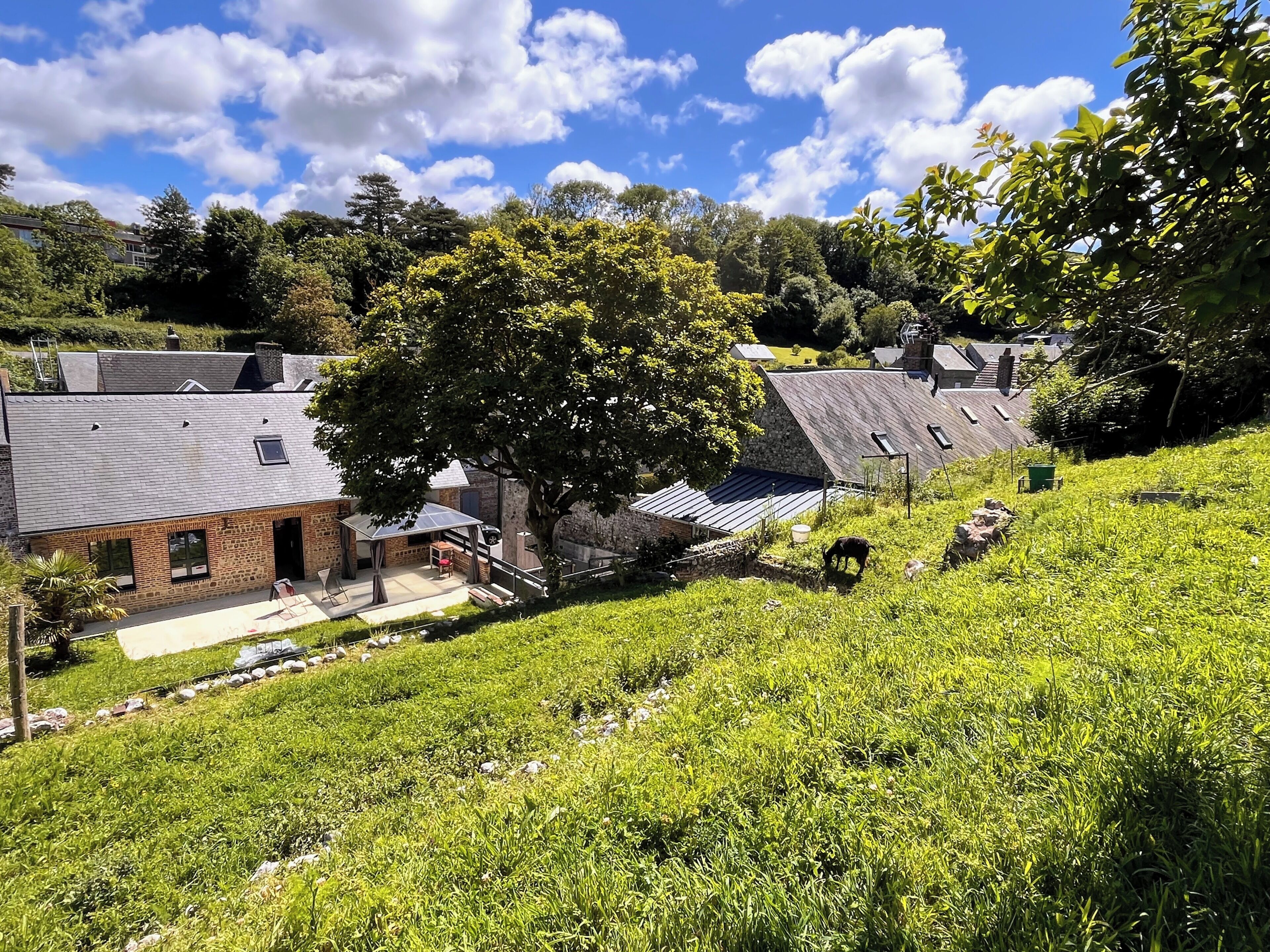 A rural house with a stone exterior, a large tree, and a grassy yard.