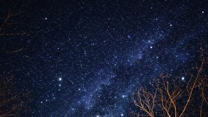 A night sky filled with stars and the Milky Way, with bare tree branches in the foreground.