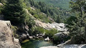 A natural landscape with a clear stream, rocky terrain, and dense forest.