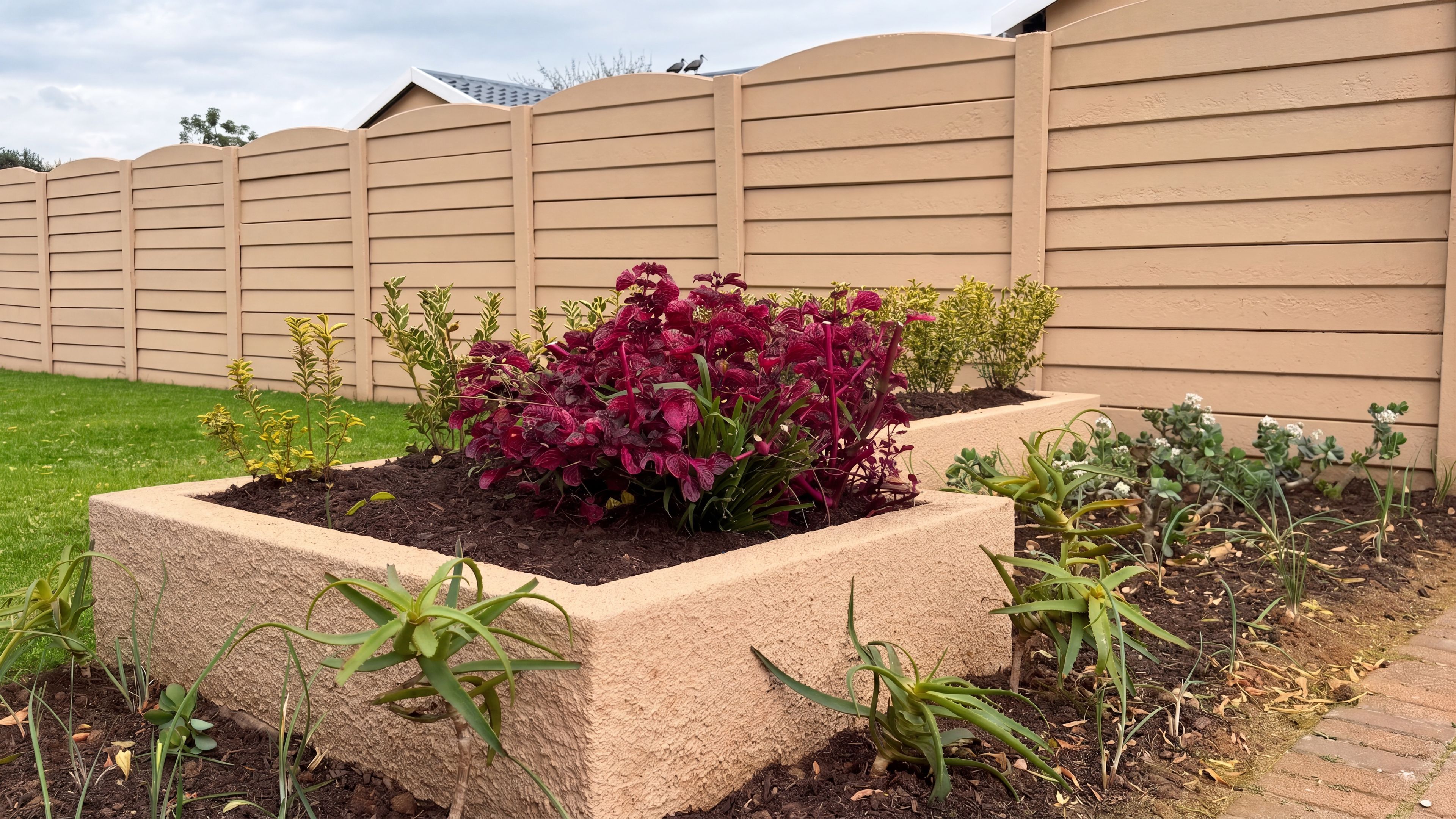 A garden with raised flower beds and various plants.