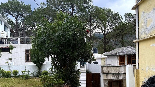 Ein Wohngebiet mit befestigter Auffahrt, einem kleinen Baum und einem Gebäude mit gelber Fassade.