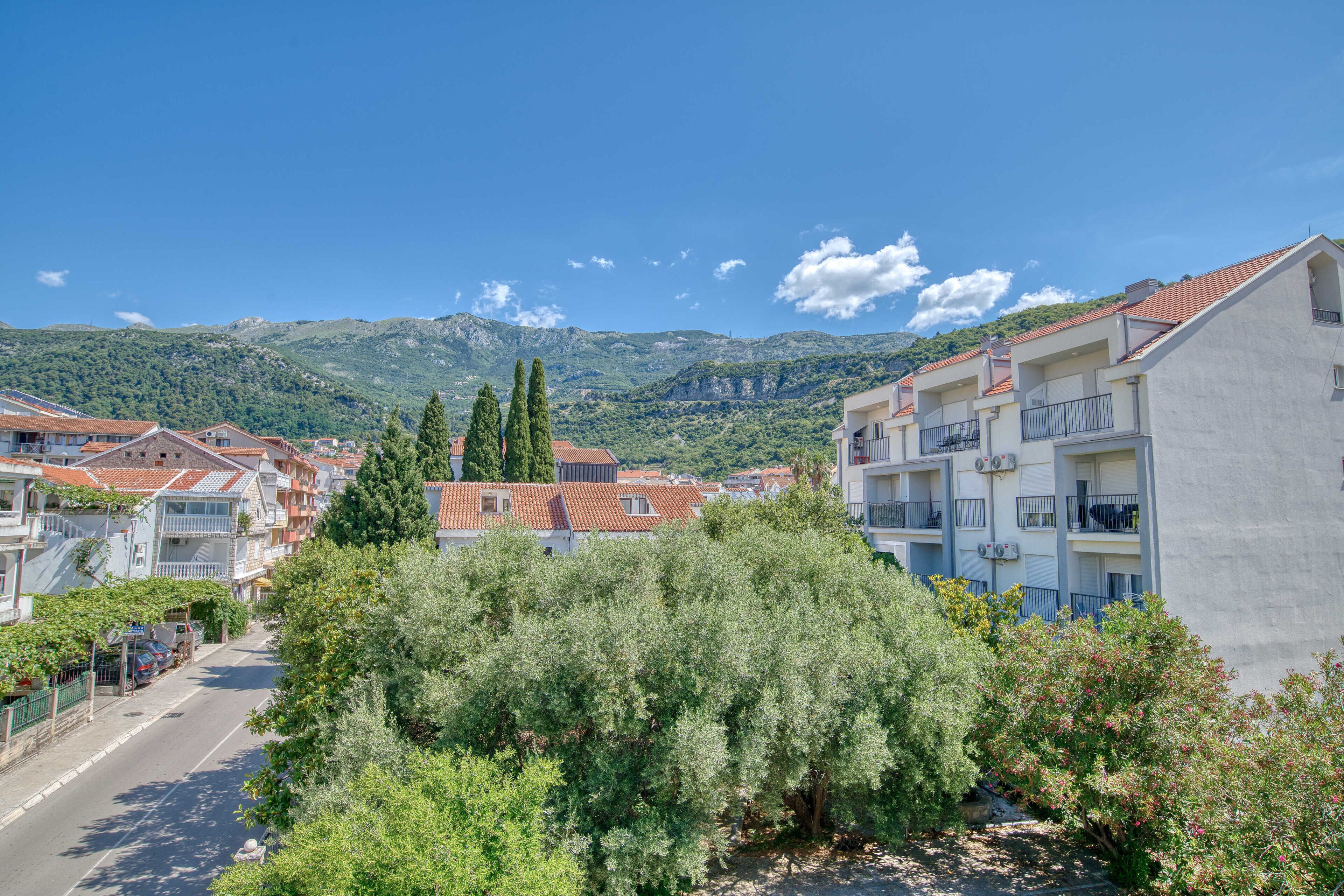 A residential area with houses, a road, and mountains in the background.