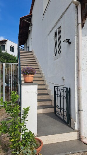 Property grounds - A standalone apartment just a few minutes from downtown Ischia. (Ischia)