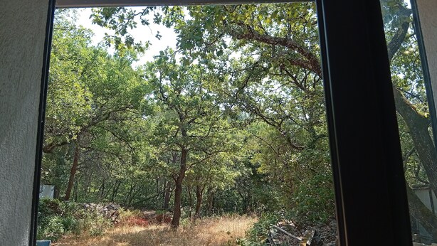 A view through a window of a forested area with trees and dry grass. - A little slice of paradise, nestled in the woods (Ste Baume, Canal de Provence, ... (Rougiers)
