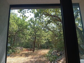 A view through a window of a forested area with trees and dry grass. - A little slice of paradise, nestled in the woods (Ste Baume, Canal de Provence, ... (Rougiers)
