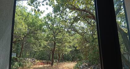 Un petit paradis, niche au milieu des bois ( ste baume, canal de provence,...