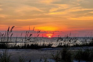 Un coucher de soleil sur une plage, avec de l’herbe au premier plan.